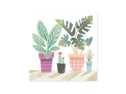 POTTED PLANTS