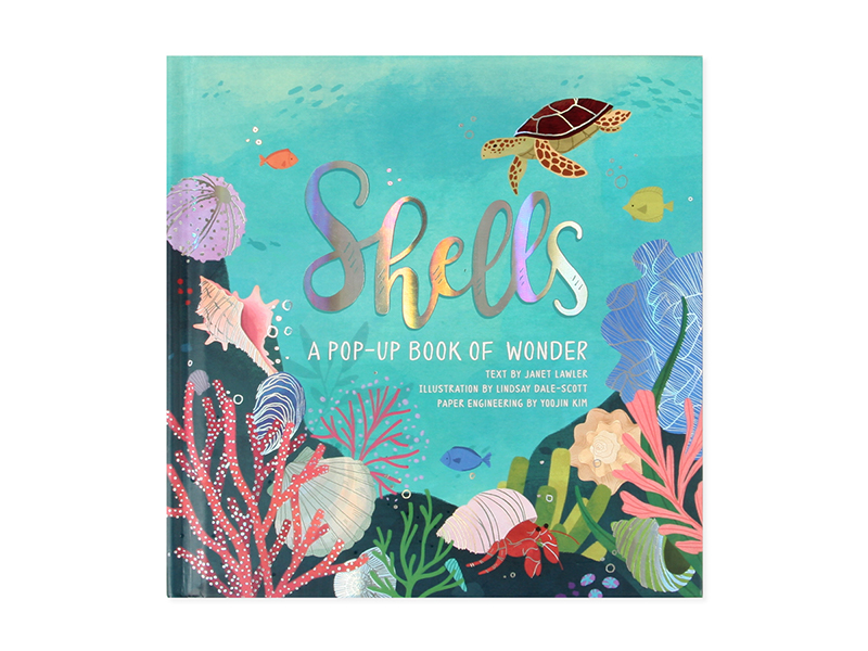SHELLS: A POP-UP BOOK OF WONDER - Up With Paper