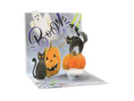 1361Boo-1