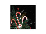1418-Candy-Cane-Bouquet-COVER
