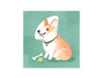 1424-Get-Well-Dogs-Cover