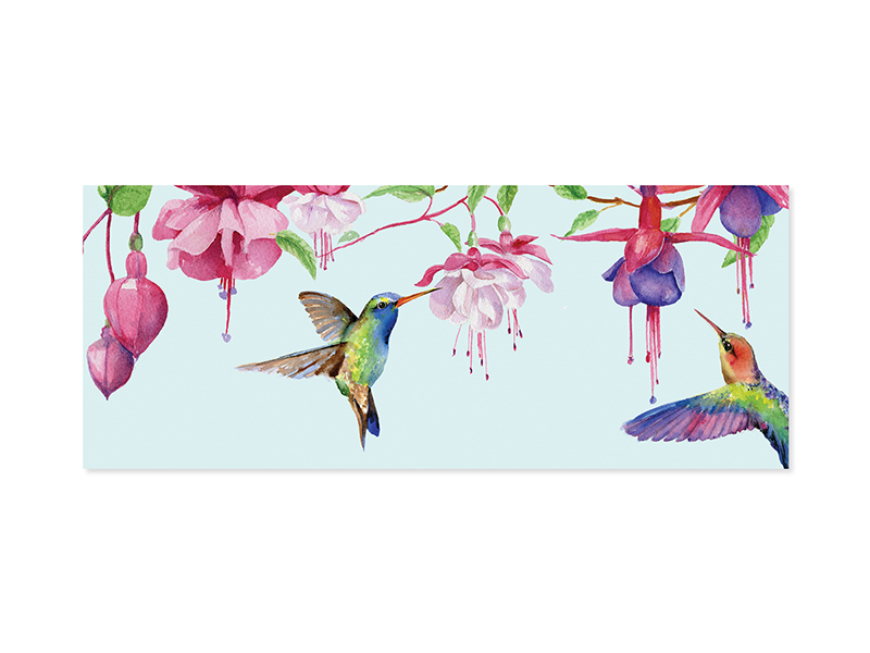 A353HummingbirdsCOVER-1