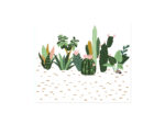 D006CactusTerrariumCOVER-1