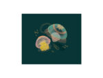 D045-Jelly-Fish-Cover