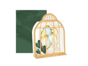 BIRDCAGE