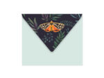 mothsenvelope