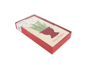 PAPERWHITES BOXED SET