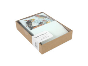 NORTH AMERICAN BIRDS BOXED SET